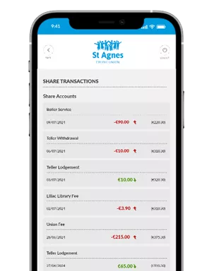 View Account Balances and Transactions